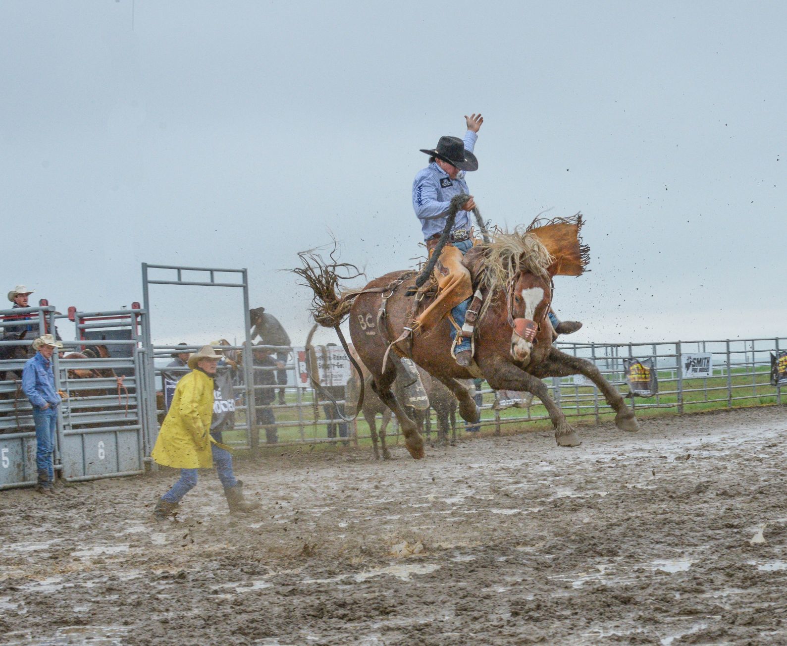 Bronc School-4.jpg